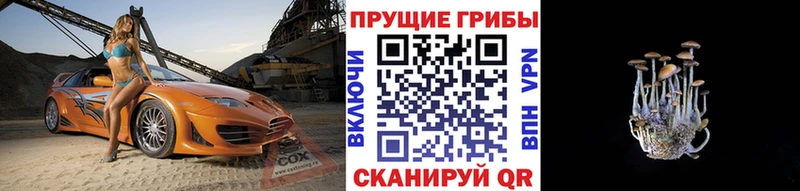 Псилоцибиновые грибы прущие грибы  наркотики  Коряжма 